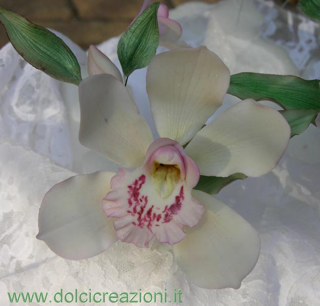 wwwdolcicreazioniit I fiori in pasta di zucchero di Carla Gum paste 